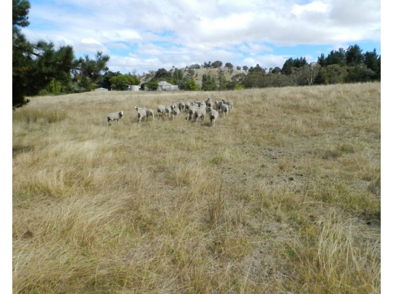 Lot 1 Arthur Street, Binda NSW 2583