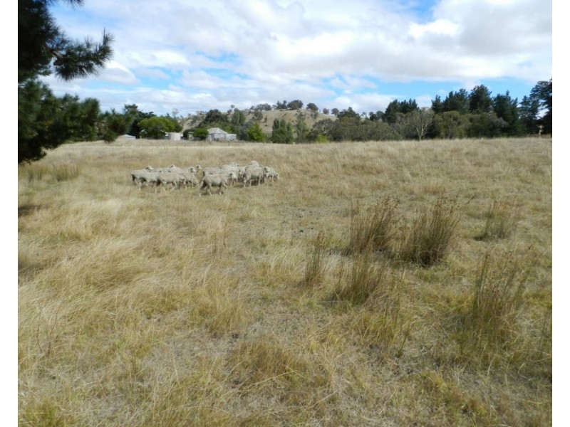 Lot 1 Arthur Street, Binda NSW 2583