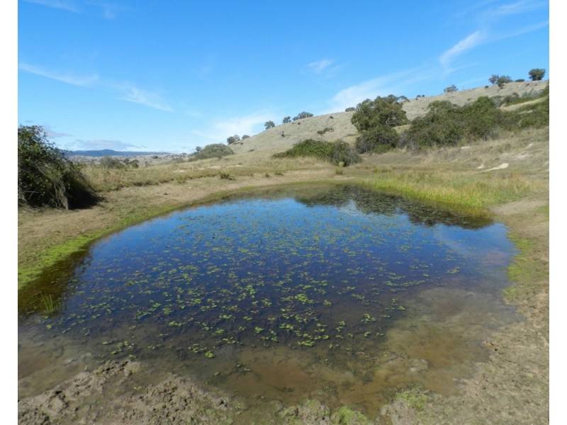 Lot 2 Peach Gardens Road, Bigga NSW 2583