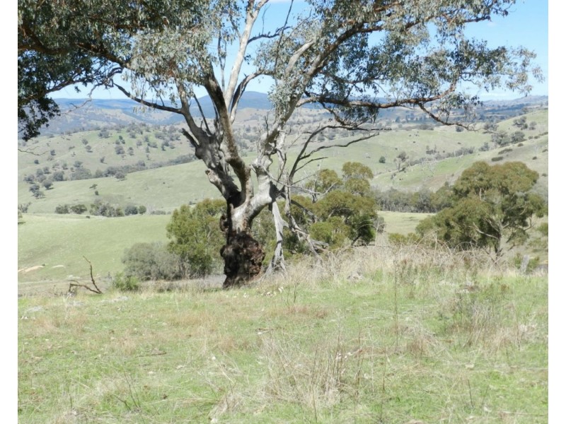 Lot 2 Peach Gardens Road, Bigga NSW 2583