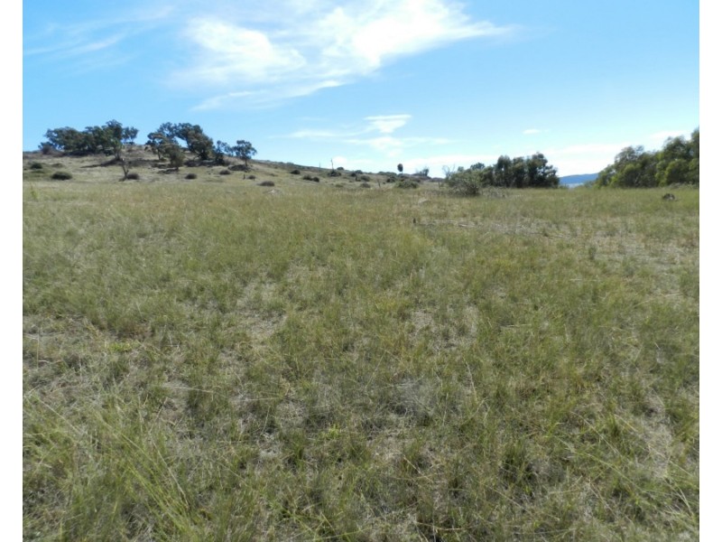 Lot 2 Peach Gardens Road, Bigga NSW 2583