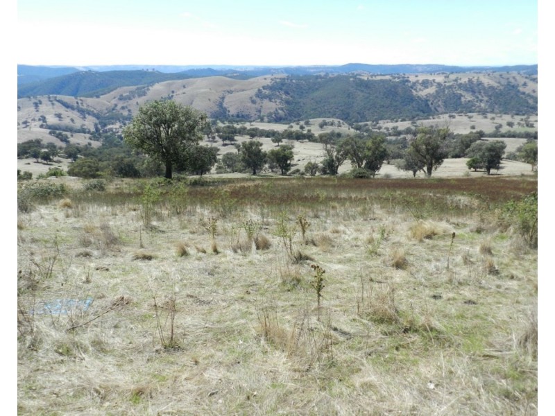 Lot 2 Peach Gardens Road, Bigga NSW 2583