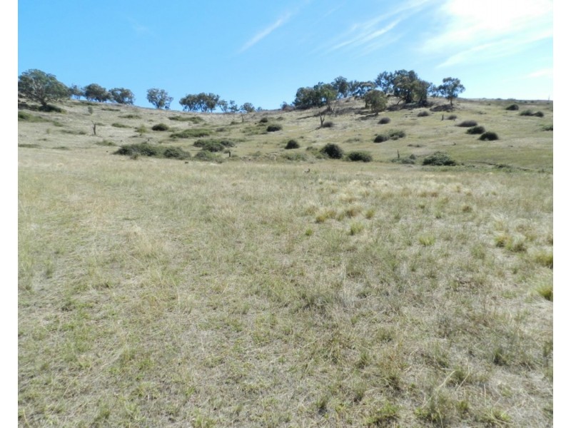 Lot 2 Peach Gardens Road, Bigga NSW 2583