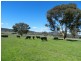 80 Dennys Lane, Goulburn NSW 2580