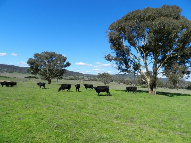 80 Dennys Lane, Goulburn NSW 2580