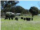 80 Dennys Lane, Goulburn NSW 2580