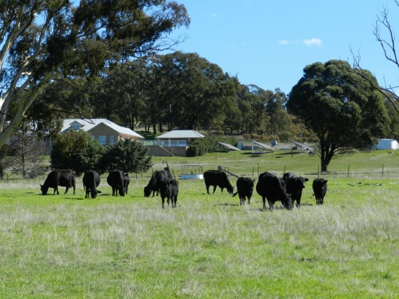 80 Dennys Lane, Goulburn NSW 2580