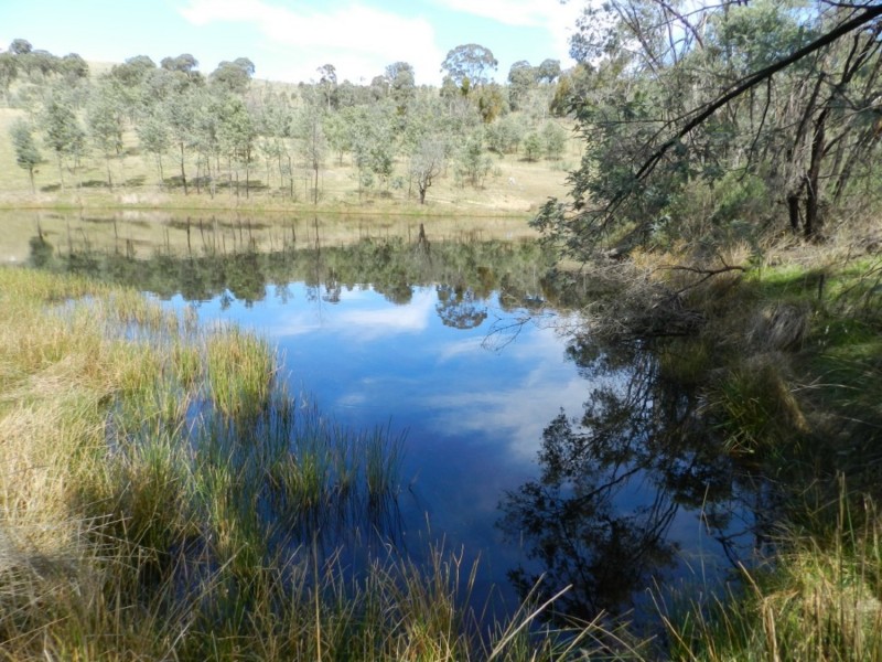 1252 Kangaloolah Road, Binda NSW 2583