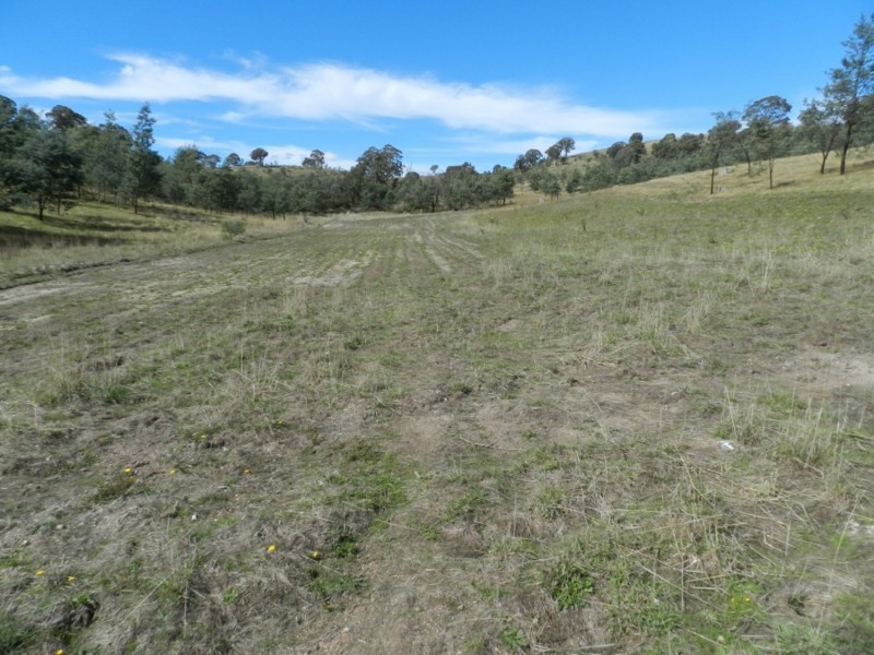 1252 Kangaloolah Road, Binda NSW 2583