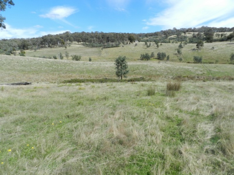 1252 Kangaloolah Road, Binda NSW 2583