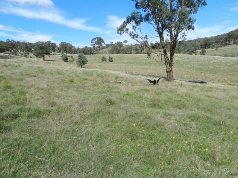 1252 Kangaloolah Road, Binda NSW 2583