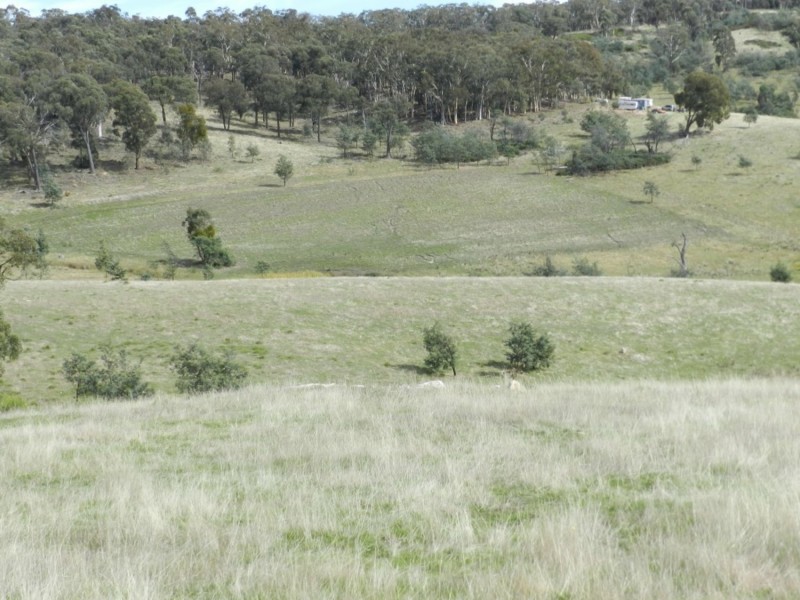 1252 Kangaloolah Road, Binda NSW 2583