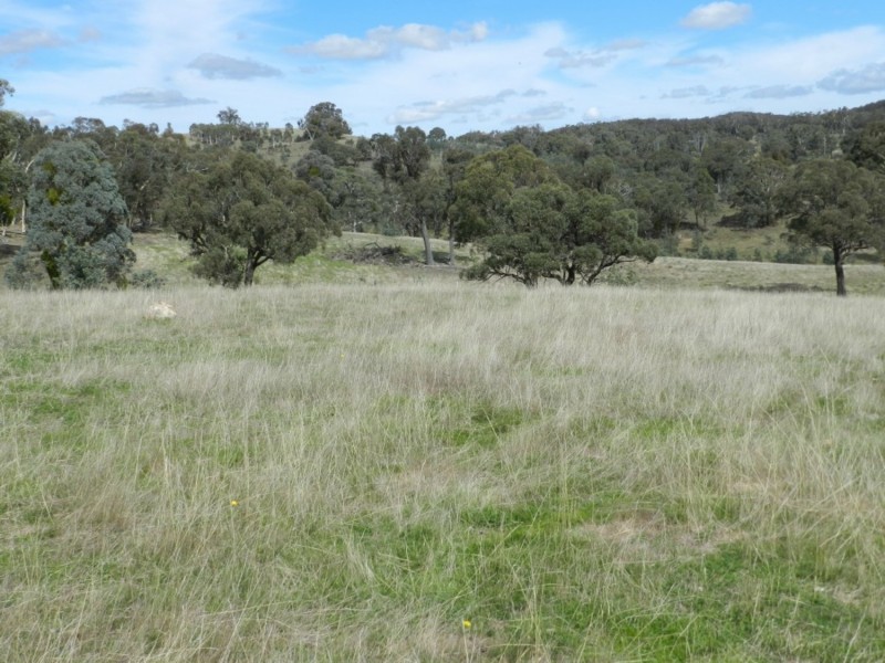 1252 Kangaloolah Road, Binda NSW 2583