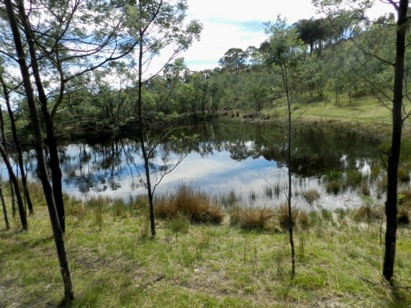 1252 Kangaloolah Road, Binda NSW 2583