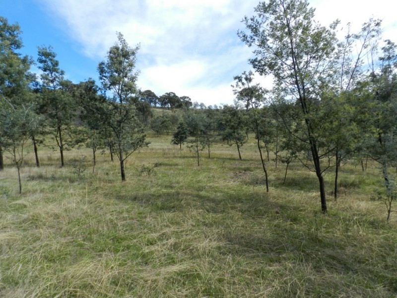 1252 Kangaloolah Road, Binda NSW 2583