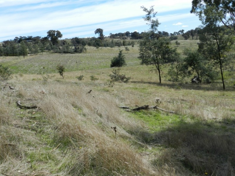 1252 Kangaloolah Road, Binda NSW 2583