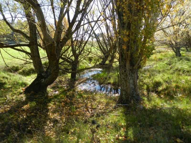 882 Peelwood Road, Laggan NSW 2583