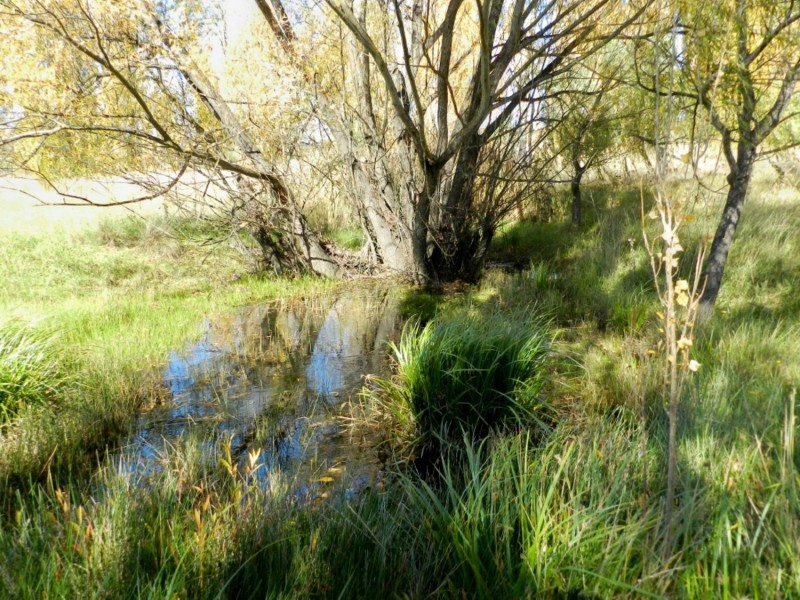 882 Peelwood Road, Laggan NSW 2583