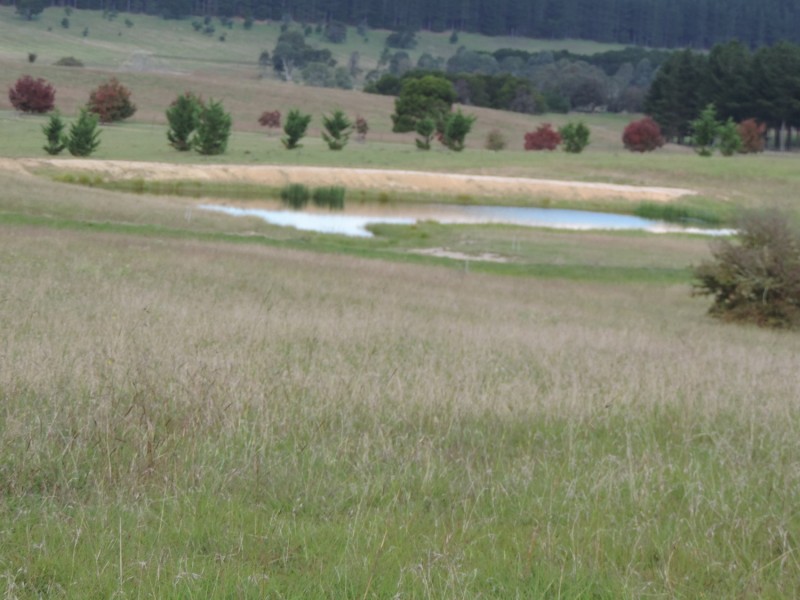 153 Inverary Road, Bungonia NSW 2580