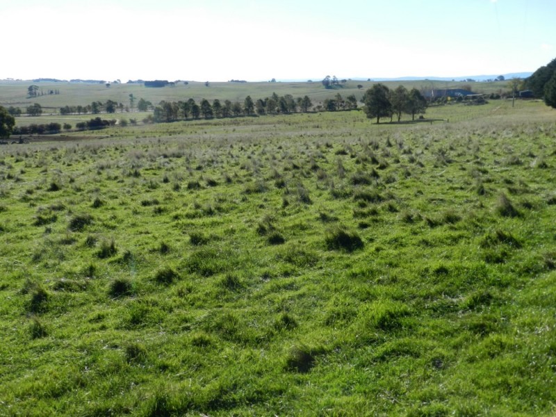 7594 Boorowa Road, Crookwell NSW 2583