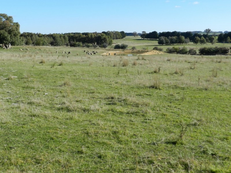 7594 Boorowa Road, Crookwell NSW 2583