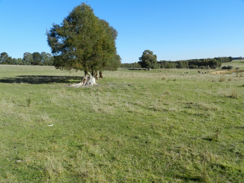 7594 Boorowa Road, Crookwell NSW 2583