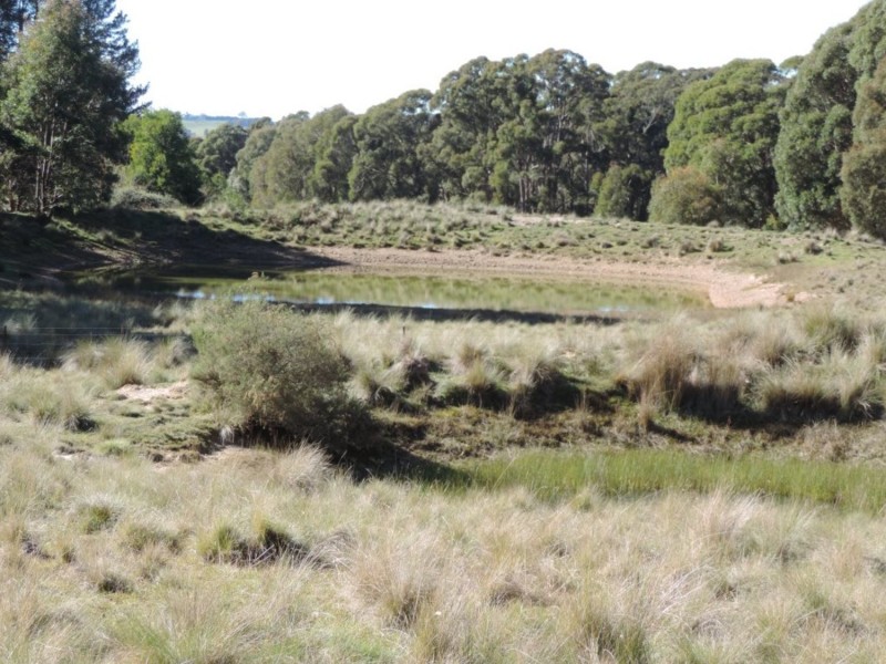 766 Mt Rae Road, Taralga NSW 2580