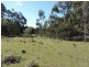 766 Mt Rae Road, Taralga NSW 2580