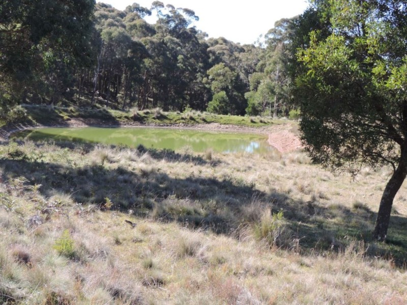 766 Mt Rae Road, Taralga NSW 2580