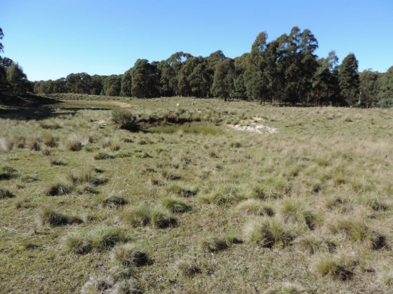 766 Mt Rae Road, Taralga NSW 2580