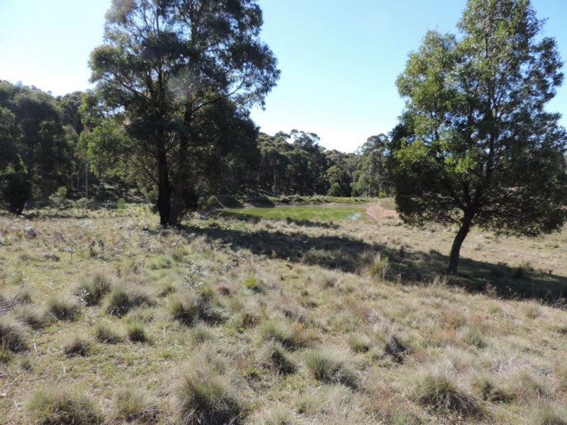 766 Mt Rae Road, Taralga NSW 2580