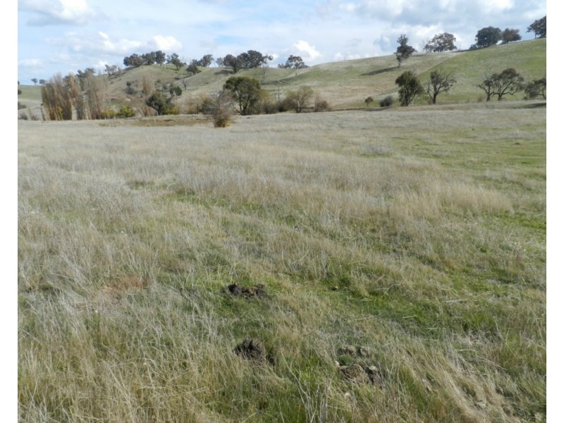 Lot 1 Junction Point Road, Binda NSW 2583