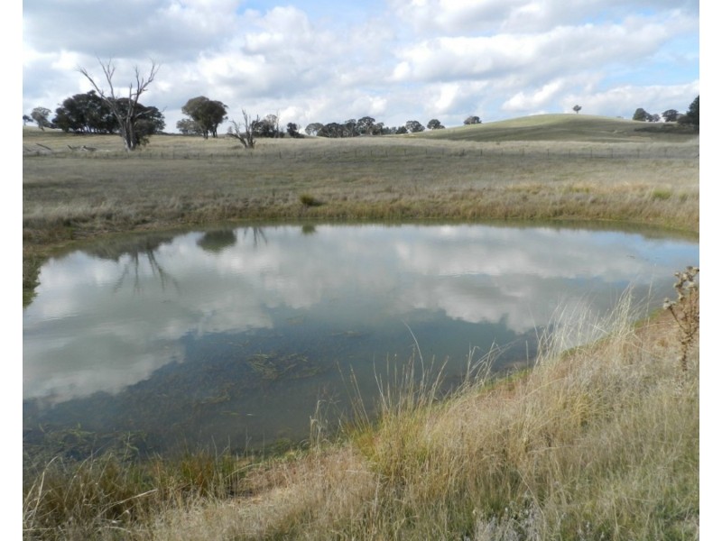 Lot 1 Junction Point Road, Binda NSW 2583