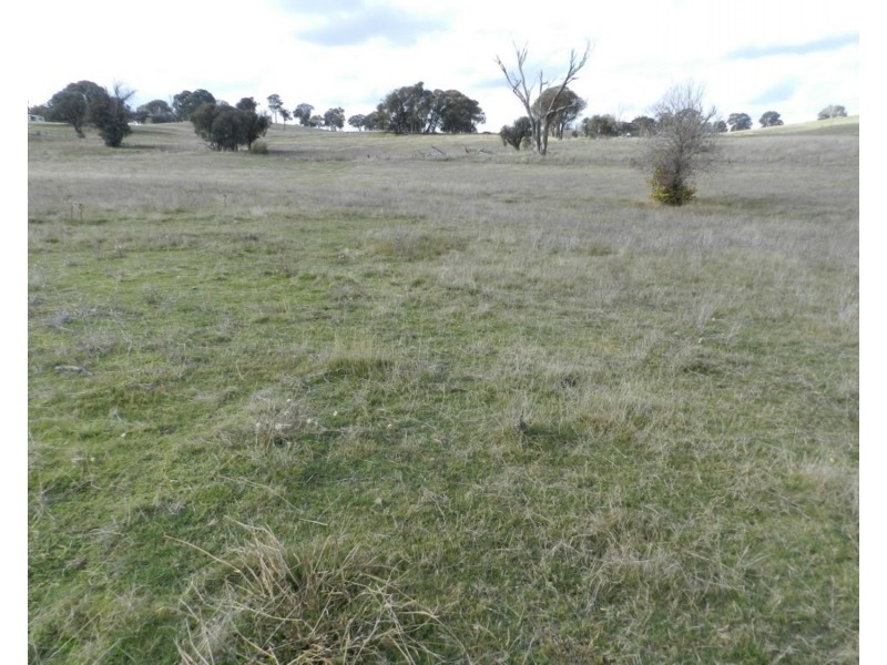 Lot 1 Junction Point Road, Binda NSW 2583