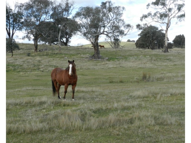 Lot 2 Junction Point Road, Binda NSW 2583