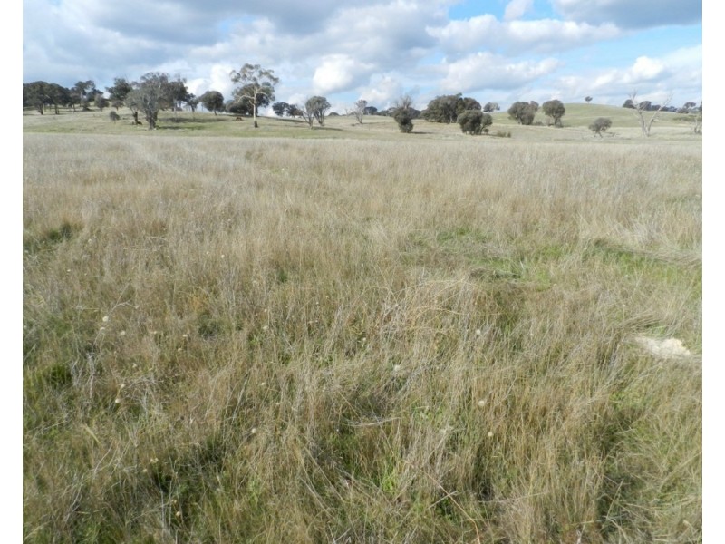 Lot 2 Junction Point Road, Binda NSW 2583