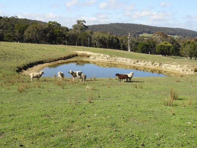 1577 Middle Arm Road, Middle Arm NSW 2580