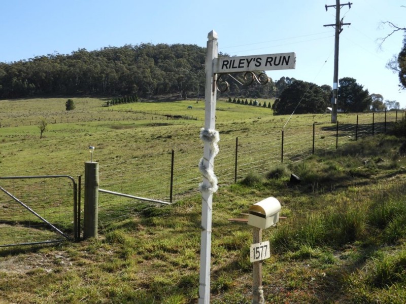 1577 Middle Arm Road, Middle Arm NSW 2580