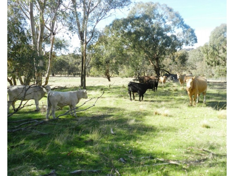 Lachlan View Decca Road, Bigga NSW 2583