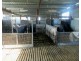 Lachlan View Decca Road, Bigga NSW 2583