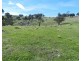 Lachlan View Decca Road, Bigga NSW 2583