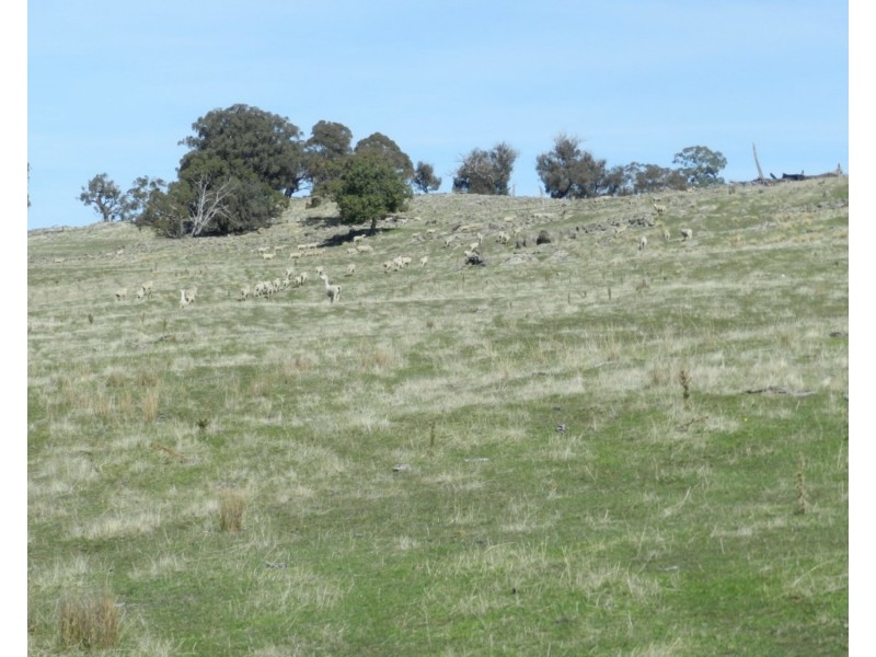 Lachlan View Decca Road, Bigga NSW 2583