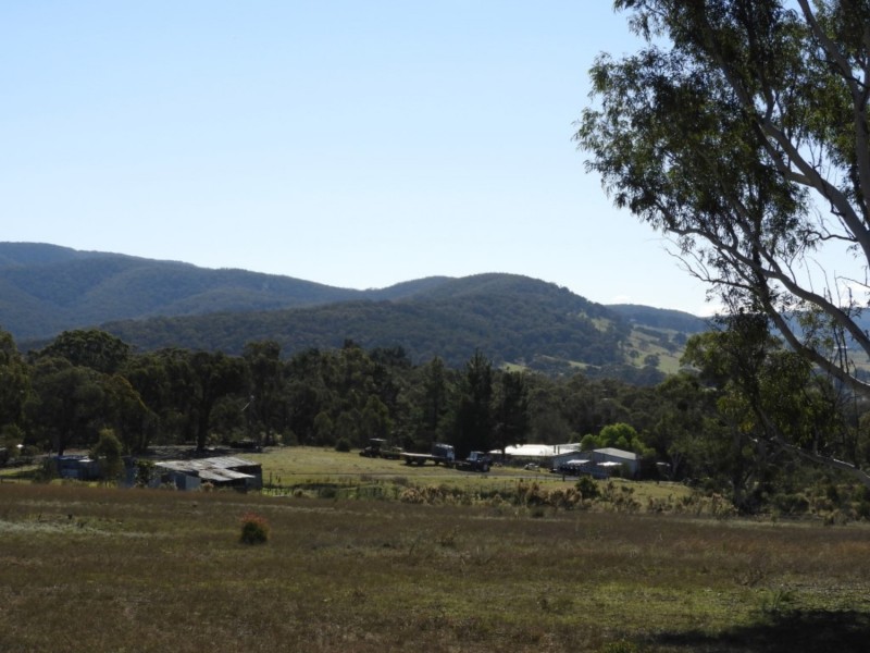 684 Carrick Road, Carrick NSW 2580