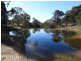 684 Carrick Road, Carrick NSW 2580