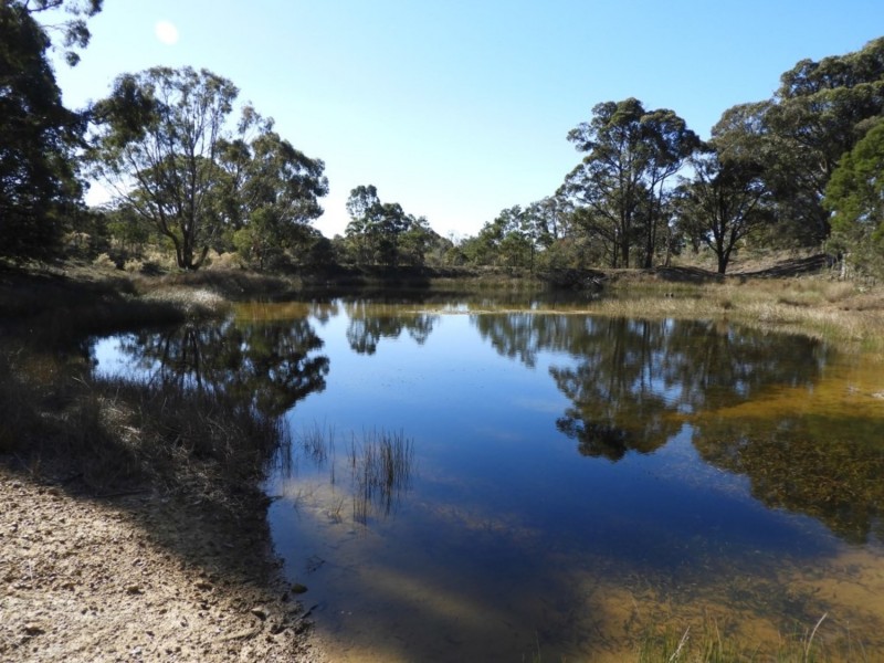 684 Carrick Road, Carrick NSW 2580