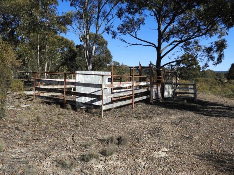 684 Carrick Road, Carrick NSW 2580
