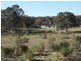 684 Carrick Road, Carrick NSW 2580