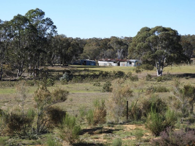 684 Carrick Road, Carrick NSW 2580