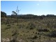 684 Carrick Road, Carrick NSW 2580