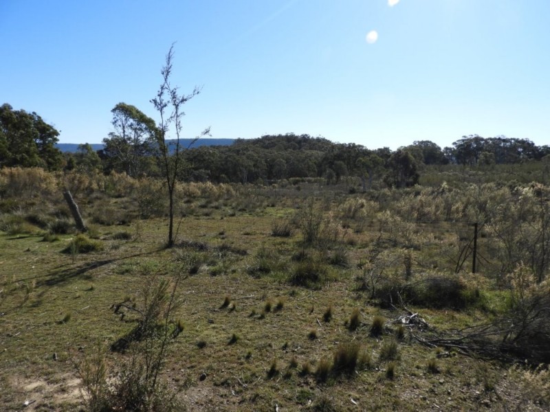 684 Carrick Road, Carrick NSW 2580
